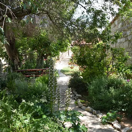 Agrotiko Traditional *