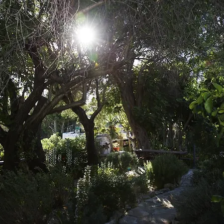 Kır Evi Agrotiko Traditional Kallepia