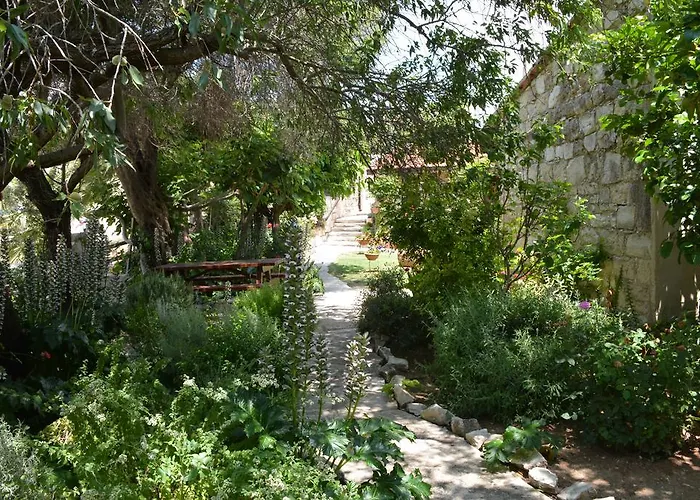 Agrotiko Traditional *